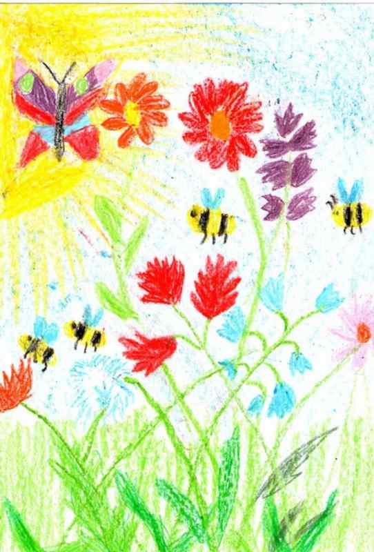 Летние рисунки