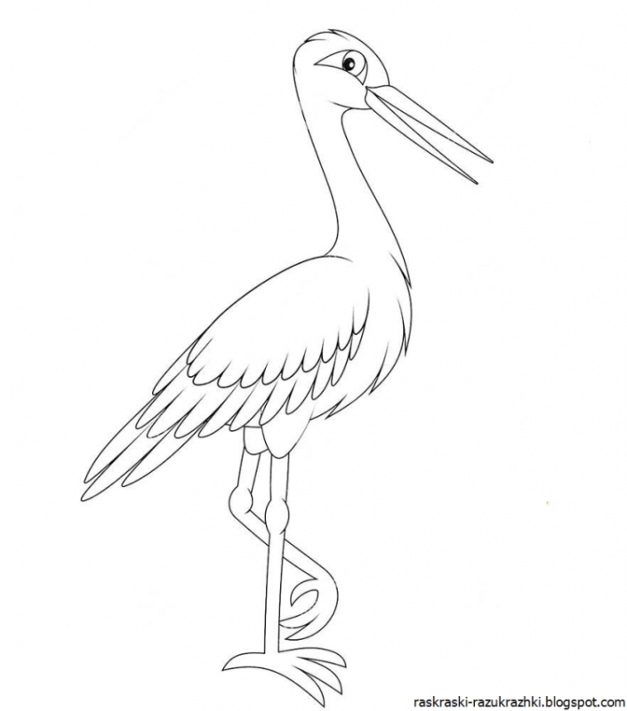 Аист в полете