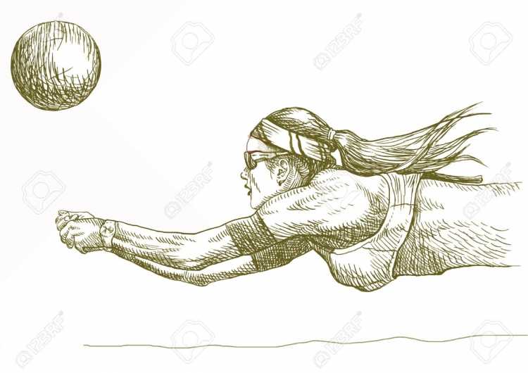 Лого волейбольный мяч на сетке