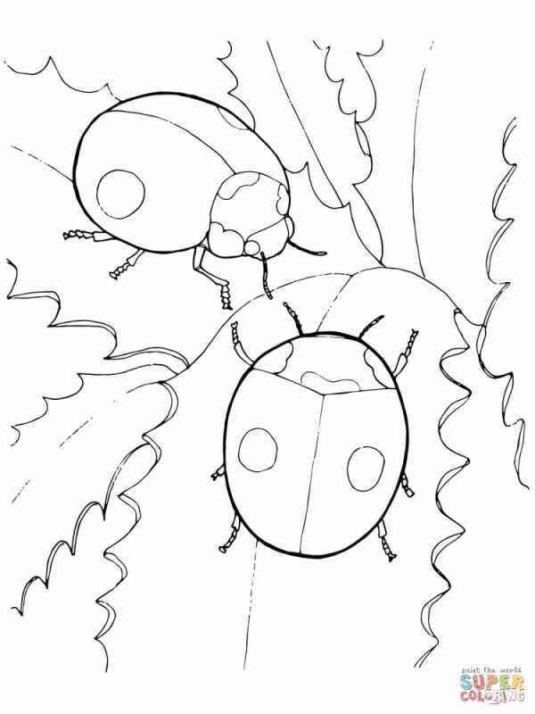 Раскраска Божья коровка на листике для малышей