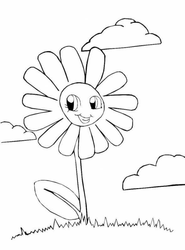Раскраска цветочек