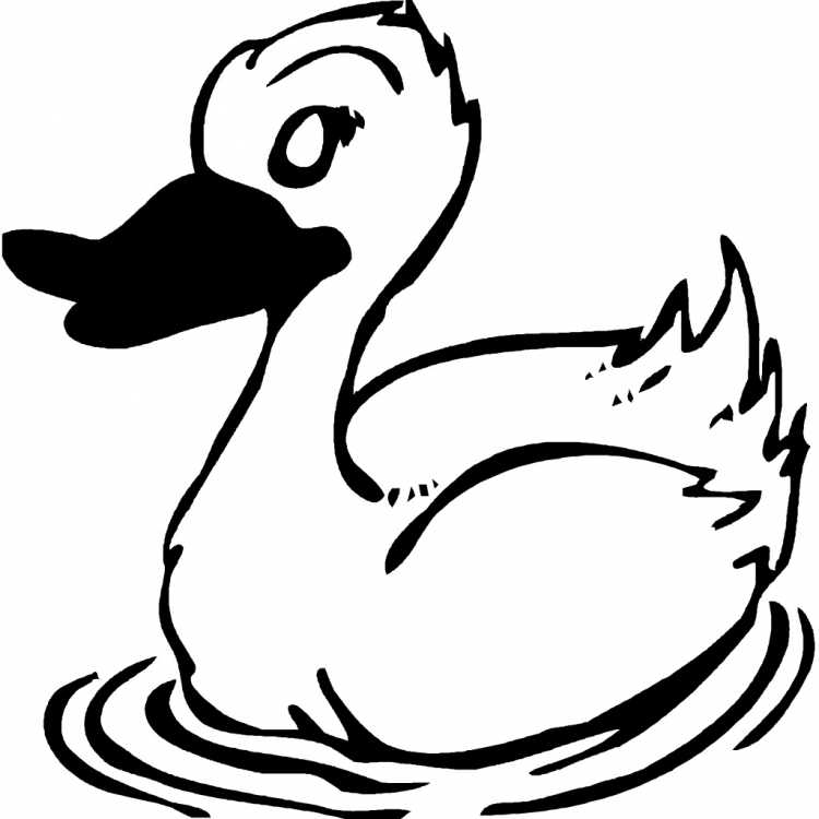 Цыпленок и утенок раскраска