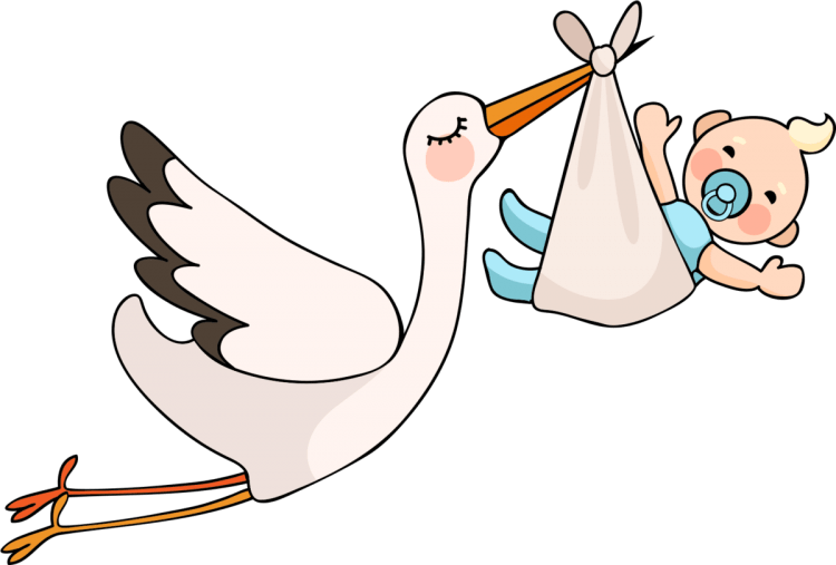 Аист улыбается