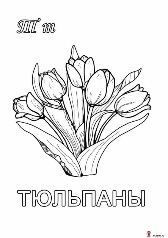 Трафареты тюльпаны