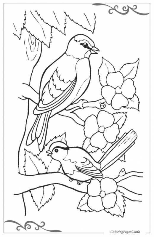 Международный день птиц раскраска