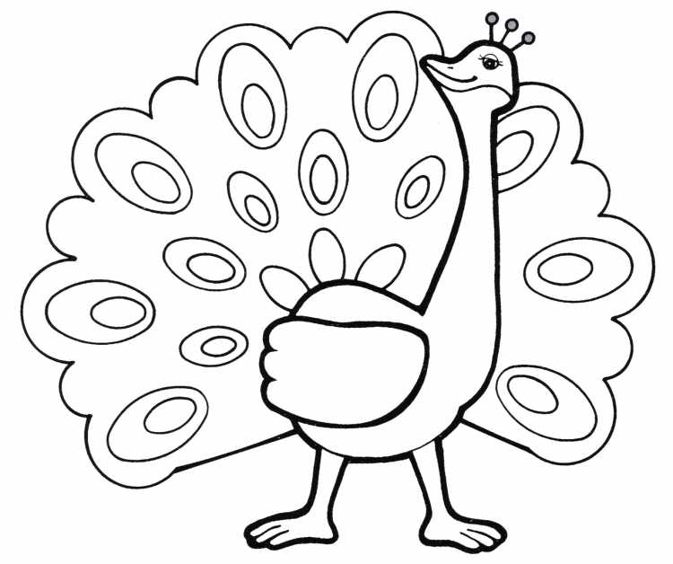 Павлин без хвоста раскраска