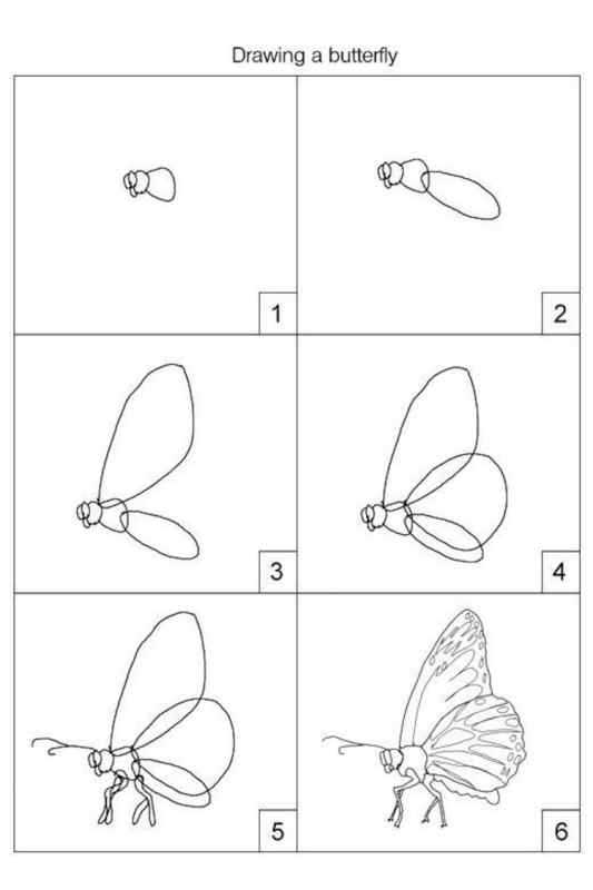 Бабочка поэтапное рисование для детей