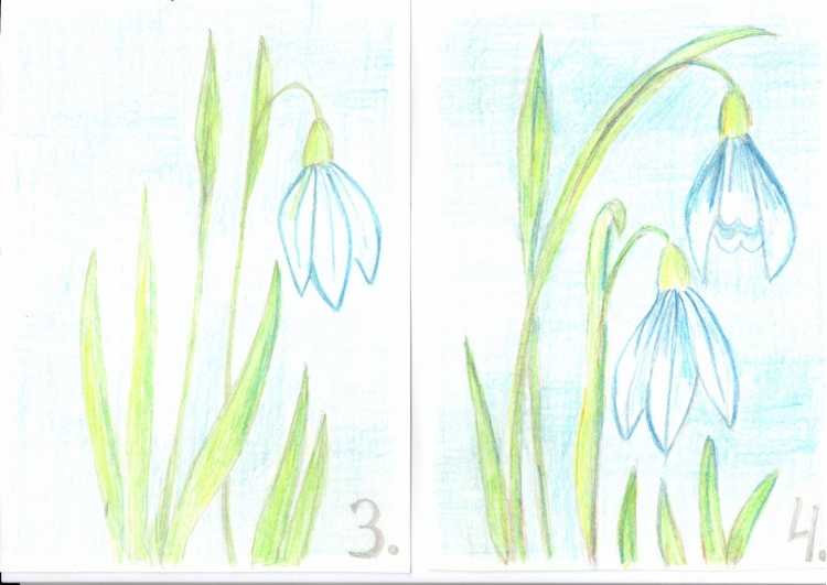 Весенний ручеёк на белом фоне