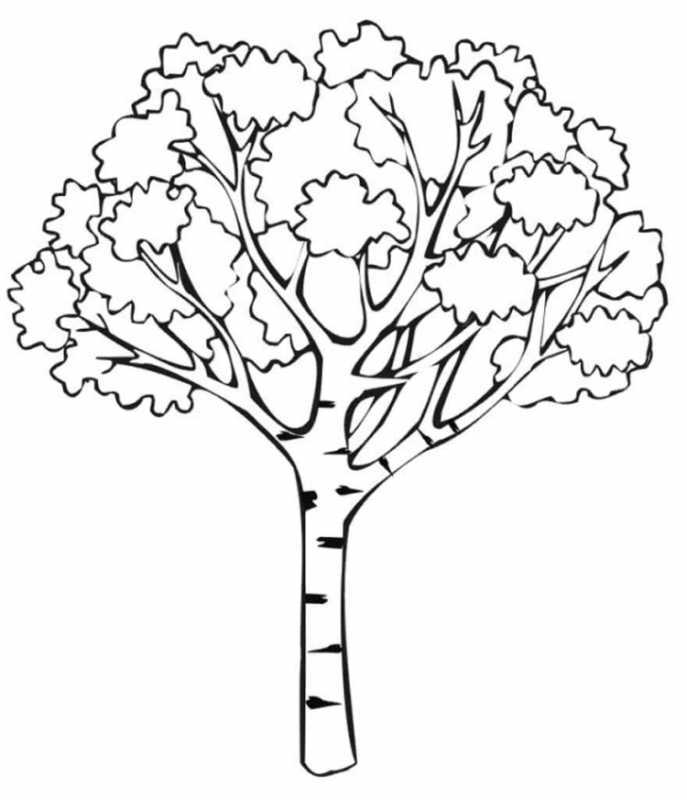 Дерево раскраска для детей