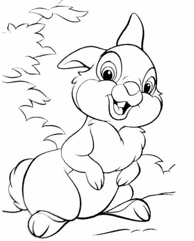 Раскраска кролик