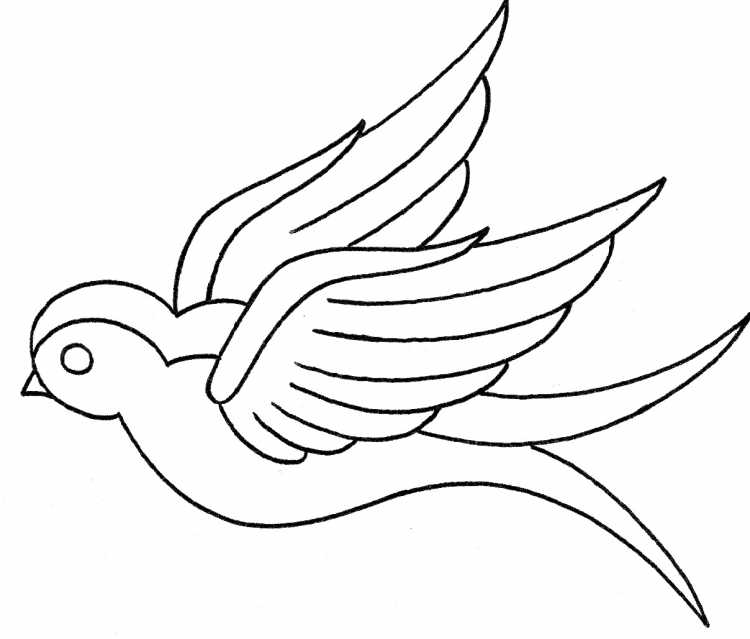 Ласточка птица