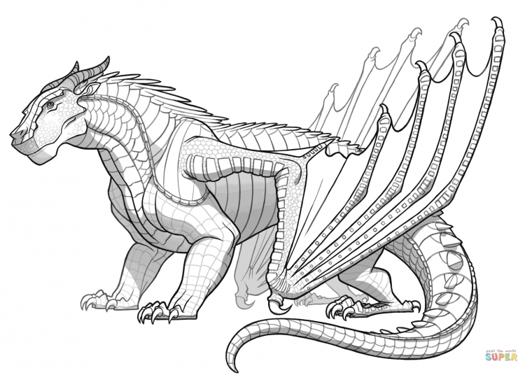 Раскраска для взрослых дракон