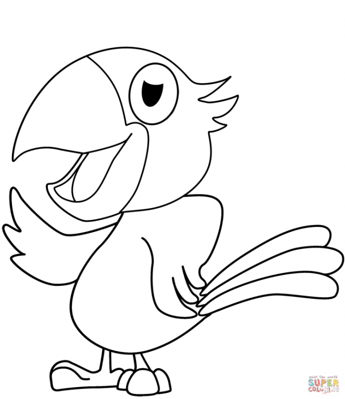 Раскраска попугай