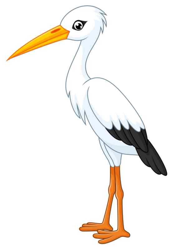 Аист раскраска
