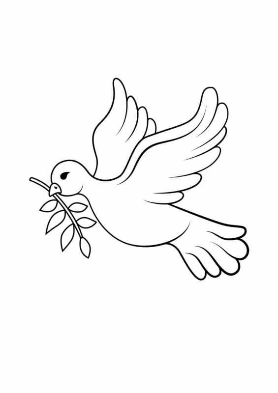 Голубь раскраска
