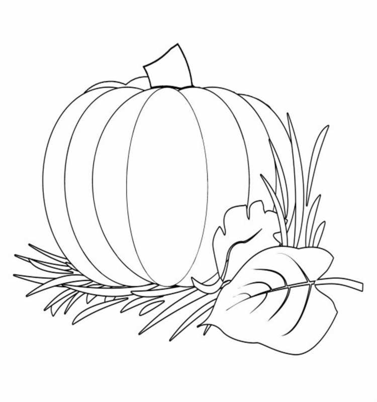 Тыква раскраска