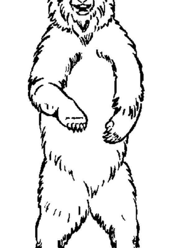 Трафарет медведя