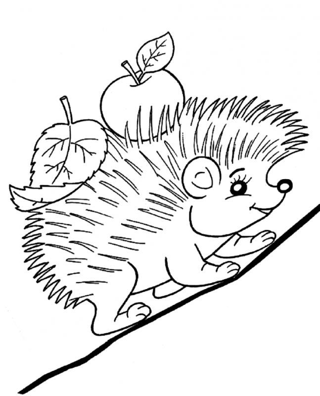 Изображение Ёжика для детей