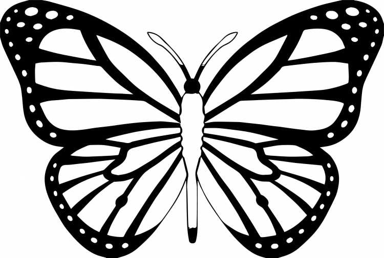 Бабочки трафарет для печати