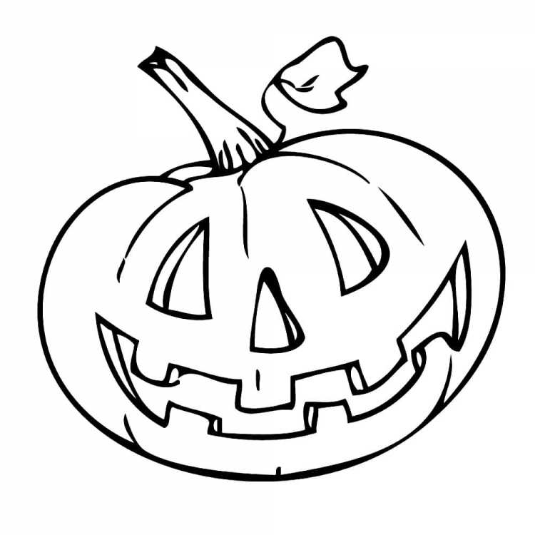 Раскраска для детей тыква на грядке