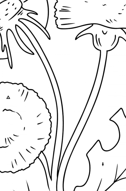 Как нарисовать одуванчик в горшке серым цветом