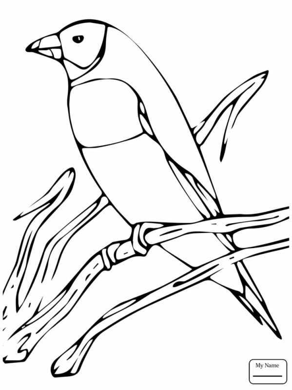 Разукрашки зимующие птицы синица