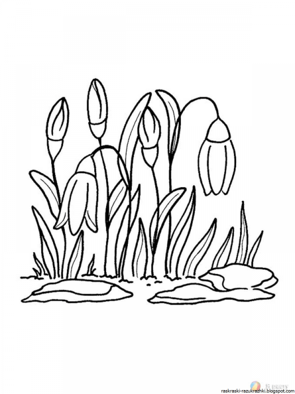 Раскраски на тему осень