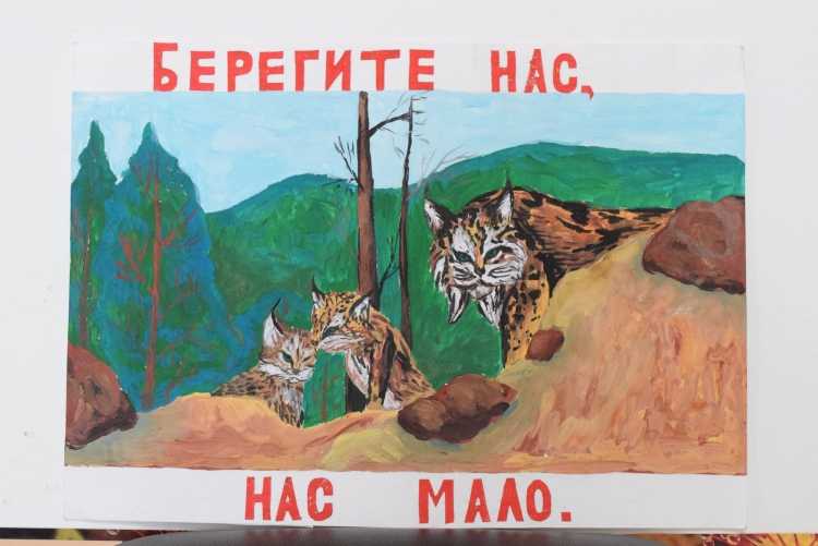 Байкальские заказники рисунок