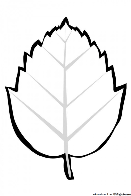 Кленовый лист трафарет для вырезания