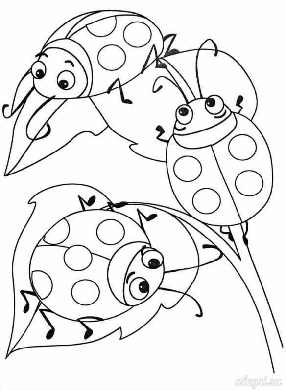 Божья коровка раскраска
