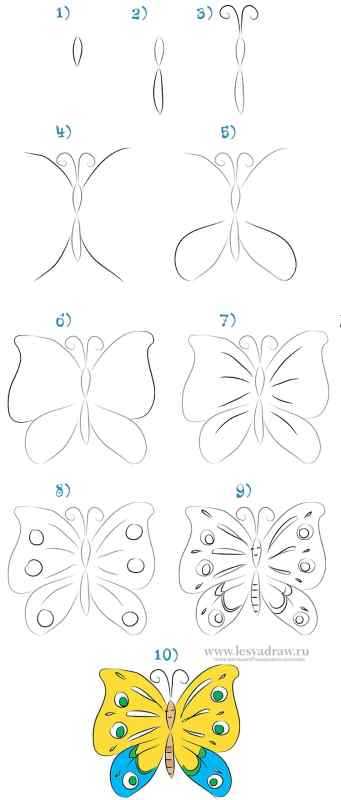 Поэтапное рисование бабочки
