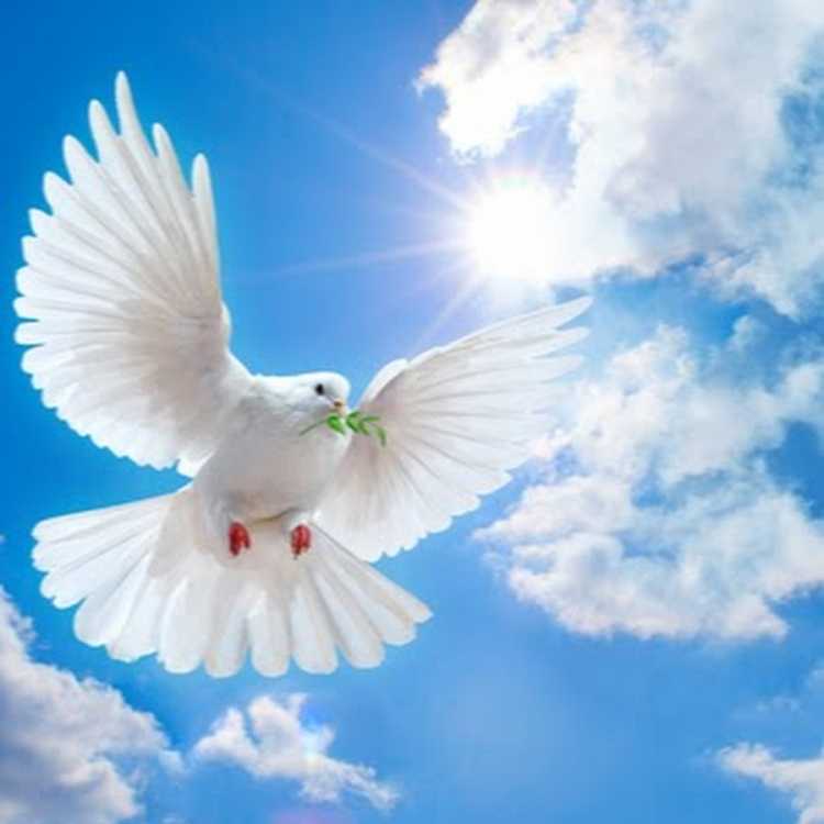 Мирное небо фото