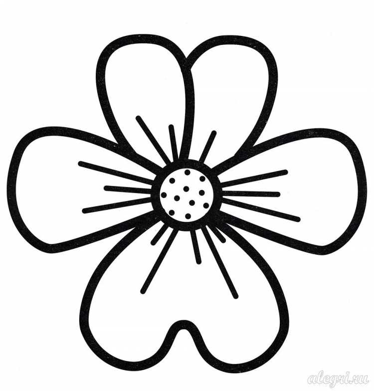 Поэтапное рисование цветов