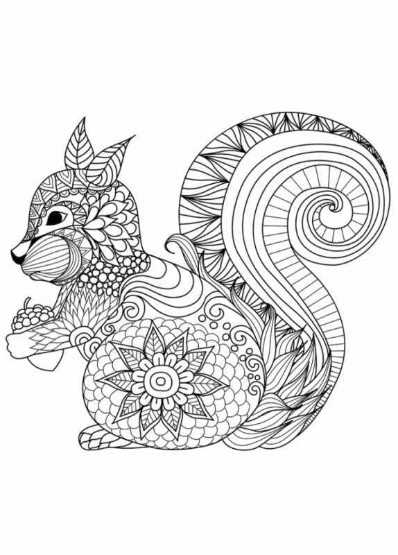 Белка с бельчатами раскраска для детей