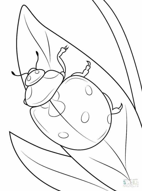 Раскраска Божьей коровки и аппликация