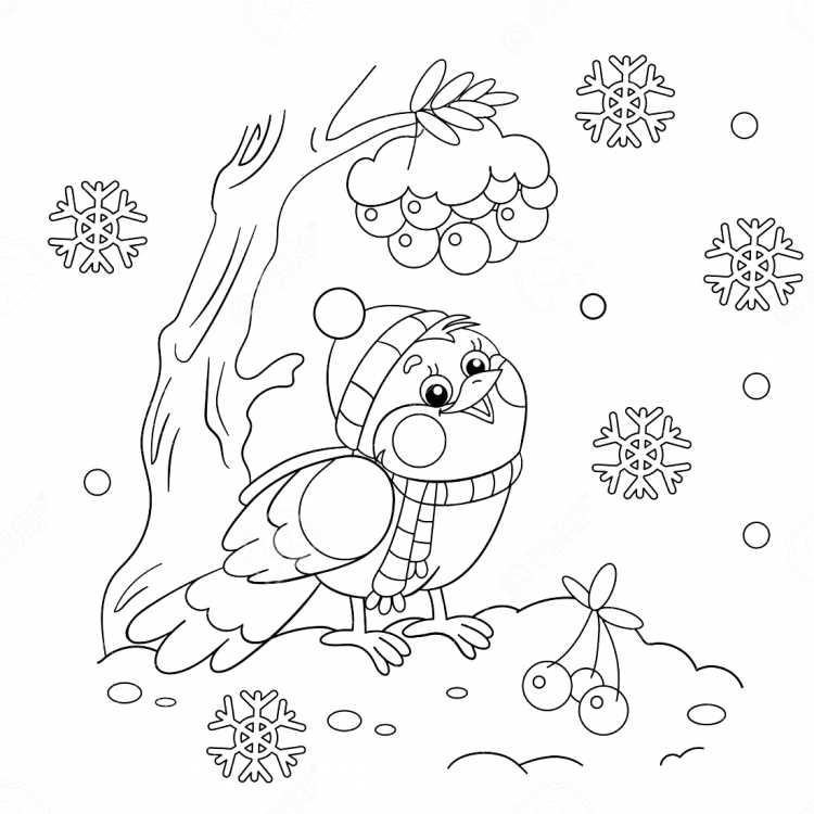 Зимние птички раскраски