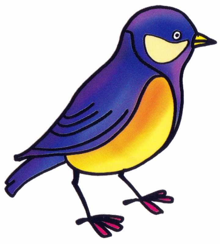 Синичка рисунок