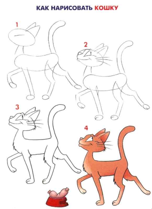 Кошка рисунок