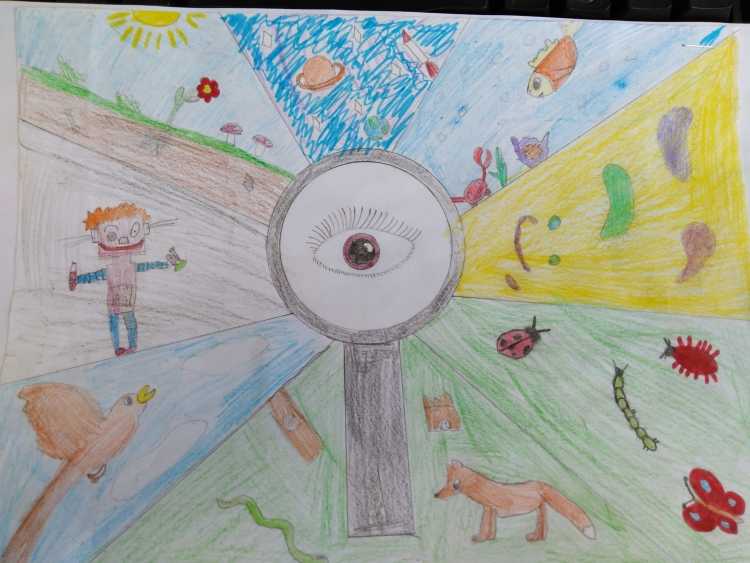 Наука рисунок