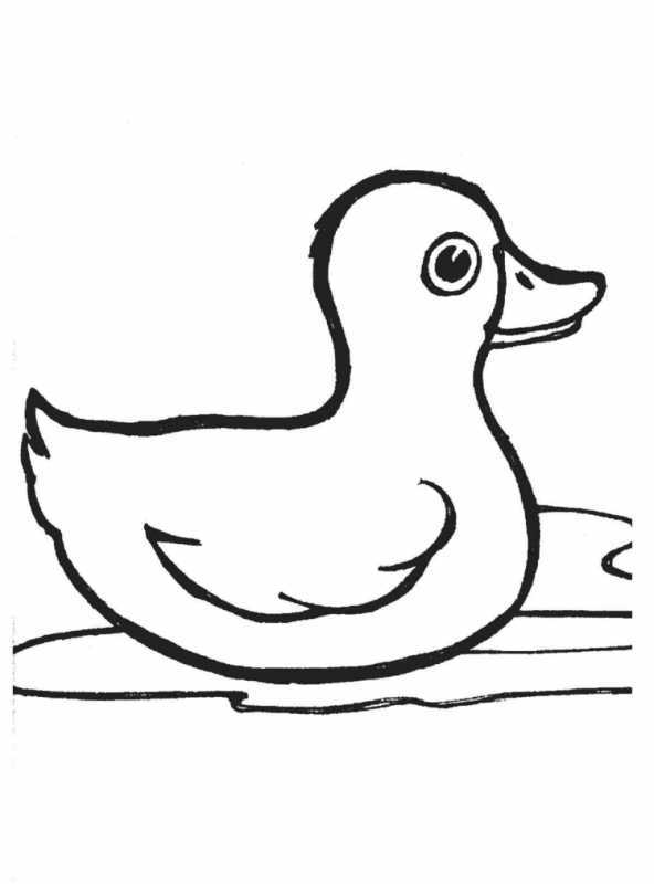 Утка Мандаринка