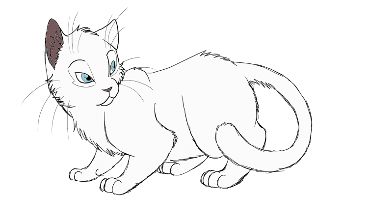 Пошаговые рисунки