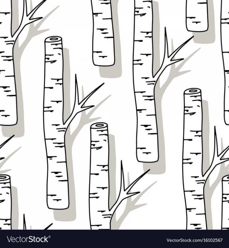 Раскраска берёза для детей