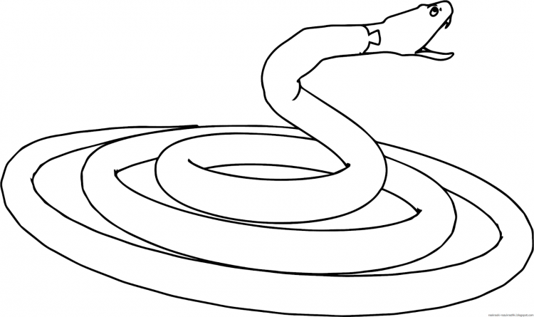 Удав раскраска для детей