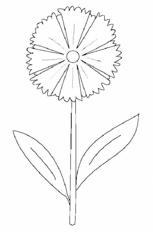 Раскраска Поляна с одуванчиками