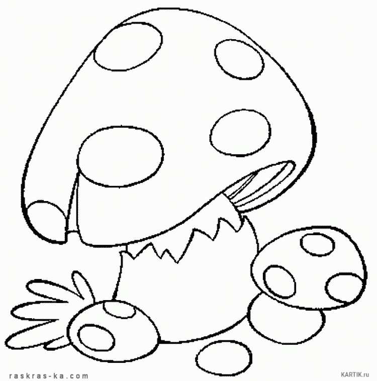 Грибы раскраска для детей
