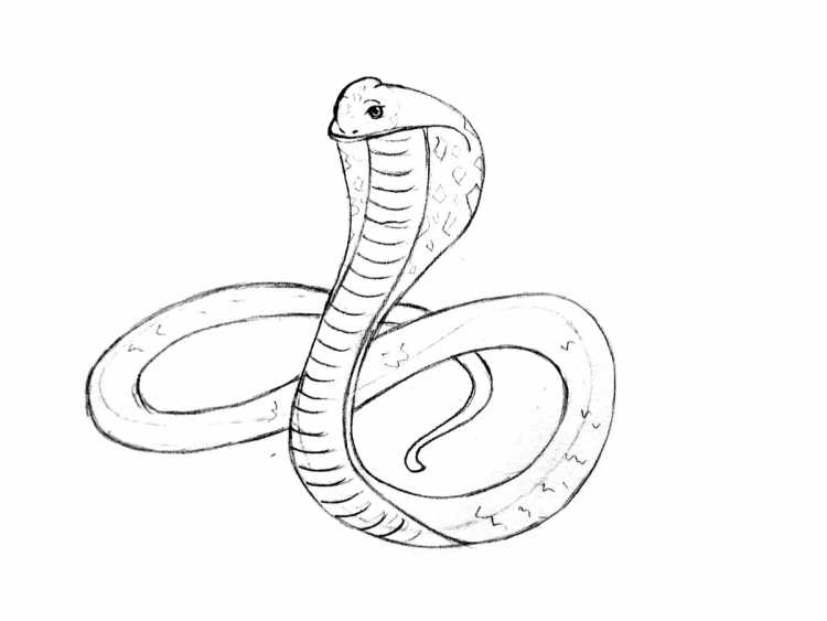 Рисование змеи
