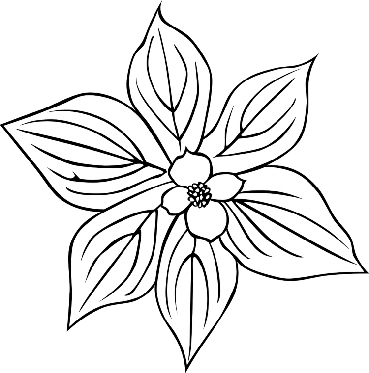 Цветы. Раскраска для малышей