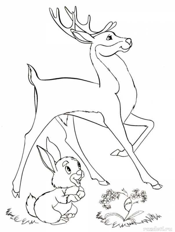 Олень в прыжке раскраска