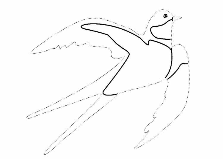 Стриж раскраска для детей