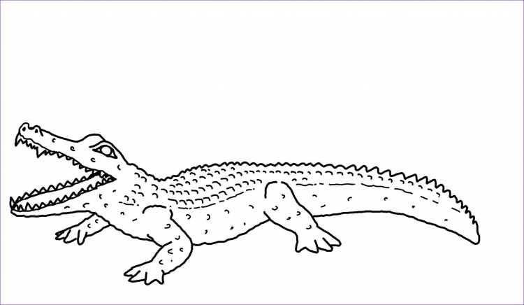 Трафарет крокодила